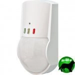 Риэлта орлан-д