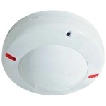 Риэлта орлан-2