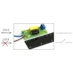 Бастион днс-1